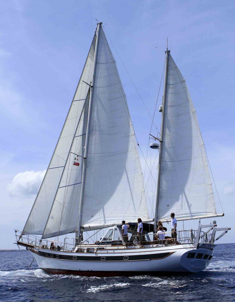 Port view of Ta Chiao CT 56 Octopus C - Sailing boat in Ibiza