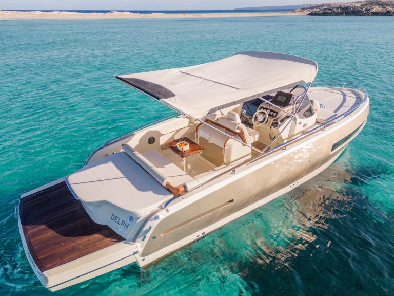 Awnig of Invictus 280 Gt Delph - Motorboat in Ibiza